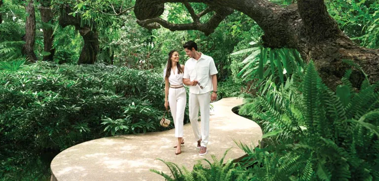 Walk Area